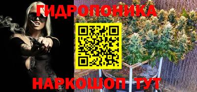 дистиллят марихуана Кингисепп