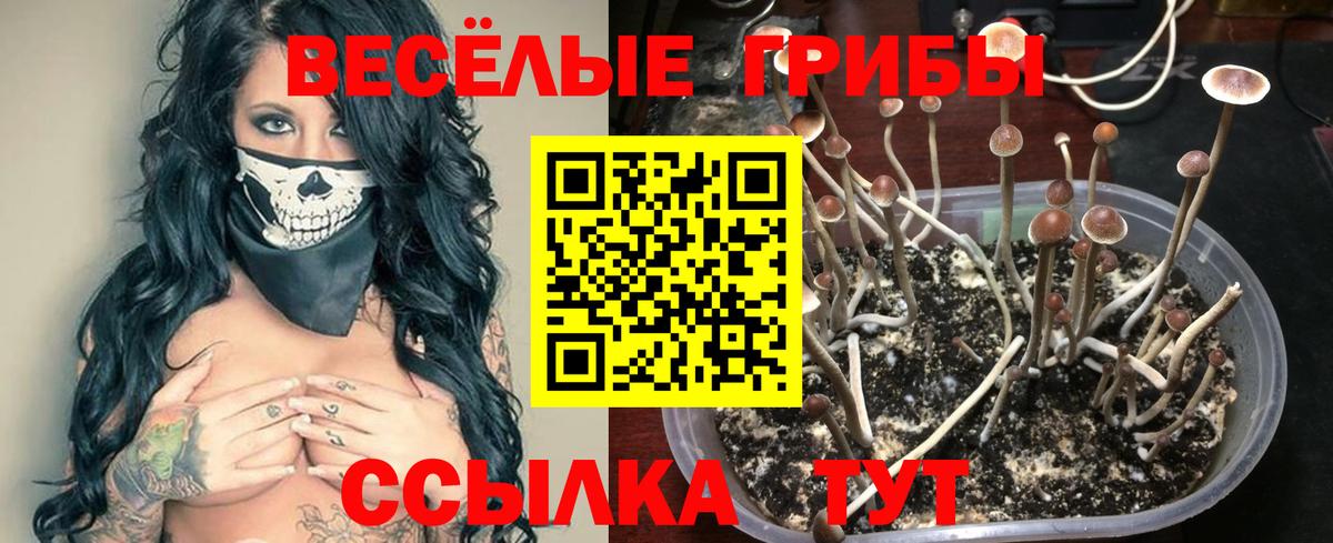 Псилоцибиновые грибы мицелий Аксай