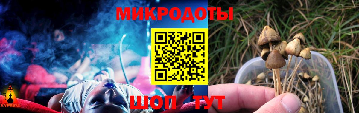 Псилоцибиновые грибы Psilocybe  Аксай 